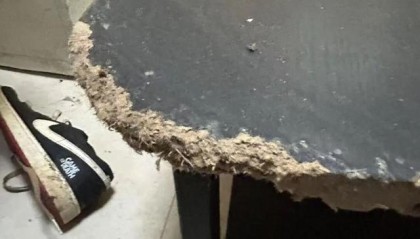 开云app下载-女租户失联，房屋散发恶臭被严重损坏，昆明房东报警：损失预估2万以上，她曾自称刚毕业，手头紧；物业：屋内狗彻夜狂叫，邻居曾报警