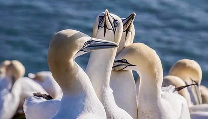 开云电竞-北爱赛颜丙涛意外遭“黑马”淘汰 中国军团止步八强